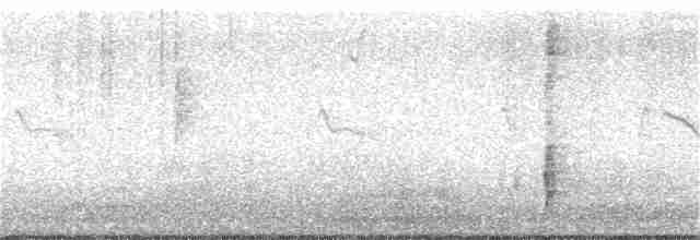 Carouge à épaulettes (californicus/mailliardorum) - ML148666191
