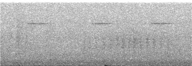 White-eyed Vireo - ML148666911