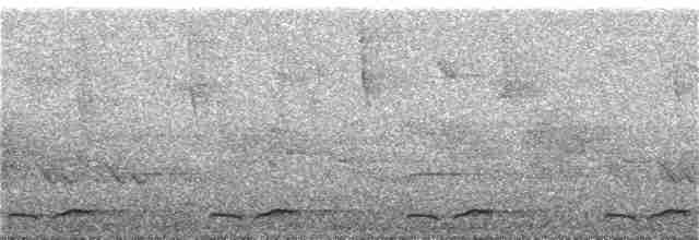 Spotted Wood-Quail - ML148670821