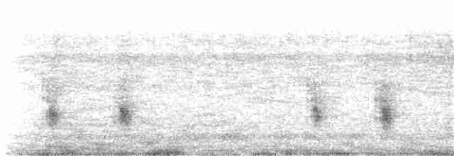 Сичик-горобець андійський - ML148693101