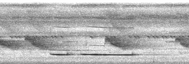 Ochre-striped Antpitta - ML148754