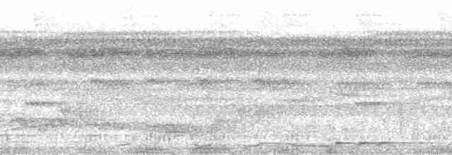 Белобородый колибри-отшельник - ML148791