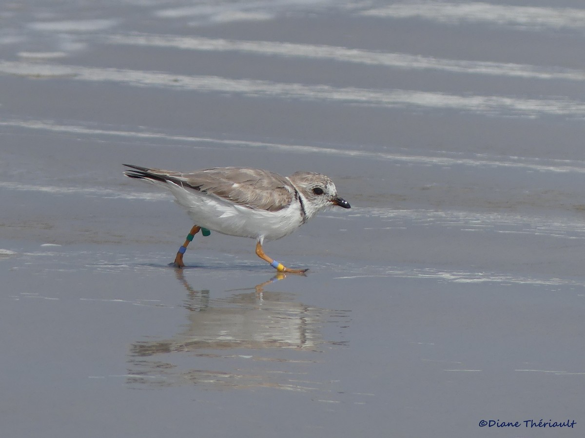 Mustang Island State Park