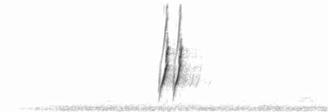Curve-billed Thrasher (curvirostre Group) - ML148925861