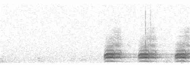 Тауї плямистий - ML148928351