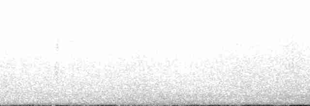 Black Skimmer (niger) - ML148963
