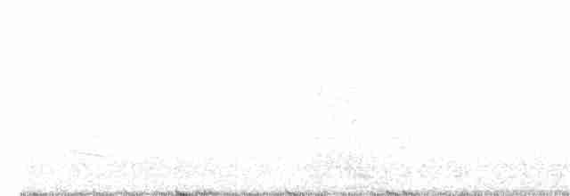 Eastern Meadowlark - ML149006901