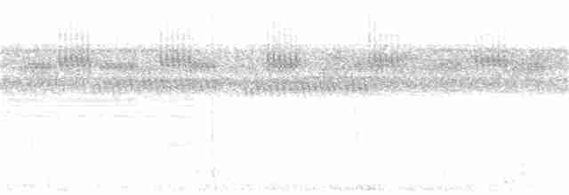 Серогорлая сириста - ML149052521