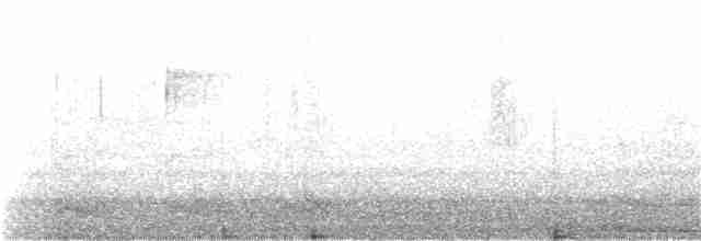 dřemlík tundrový (ssp. columbarius) - ML149068801
