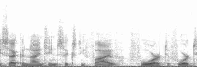 Graumantel-Brillenvogel - ML14928