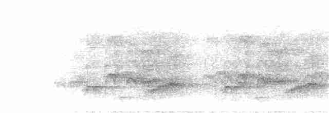 Куріпка острівна - ML149320221