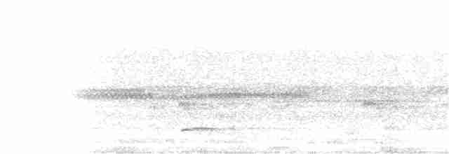 黃嘴角鴞 - ML149320351