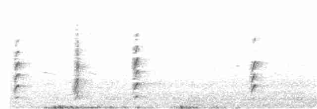 Black-necked Stilt (Black-necked) - ML149327771