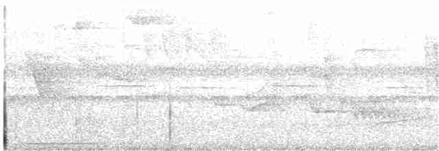 Ошейниковый трогон - ML149343641