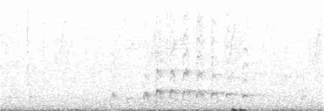 holub sněžný - ML149548171