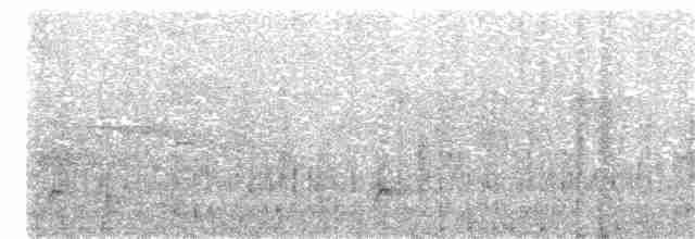 Ірличок сіроголовий - ML149640611