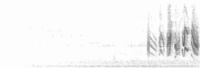 Braunaugenvireo (pusillus) - ML149645091