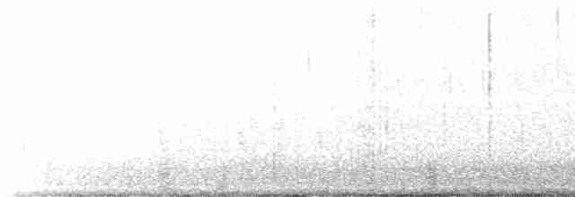 Чёрная казарка (hrota) - ML149731731