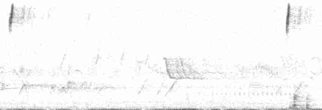 Streifenrückenammer [petenica-Gruppe] - ML14984