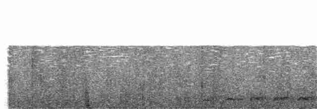 Lattice-tailed Trogon - ML149843551