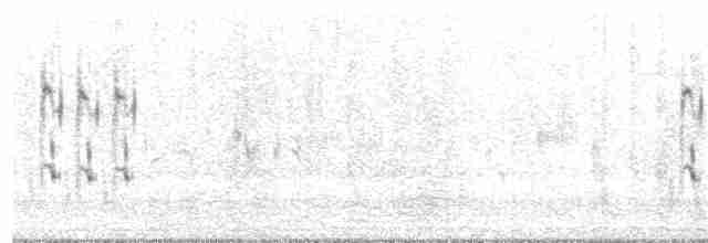 Сорокопуд сірий (підвид aucheri/buryi) - ML149992111
