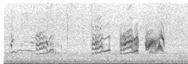 Woodchat Shrike - ML149992131