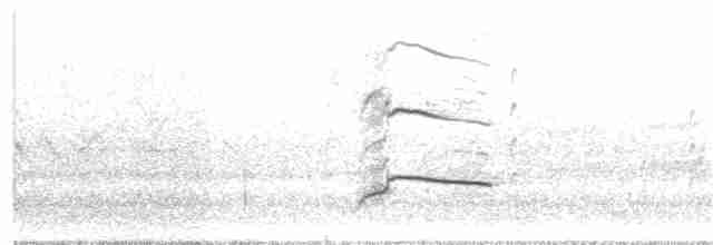 Eurasian Thick-knee - ML149992211