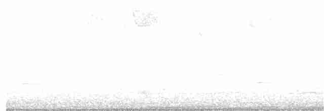 Pine Warbler - ML150114841