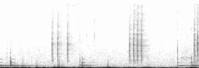 Black-billed Mountain-Toucan - ML150170951