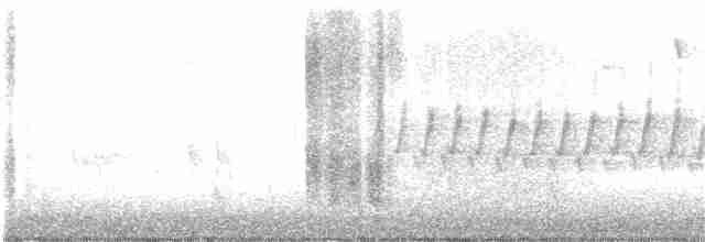 Pine Warbler - ML150225321