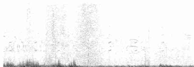 Little Grebe - ML150351901