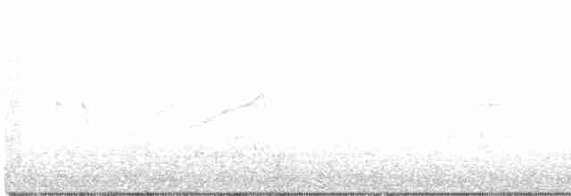 Pine Warbler - ML150368611