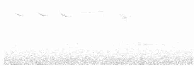 Turuncu Ardıç - ML150424821