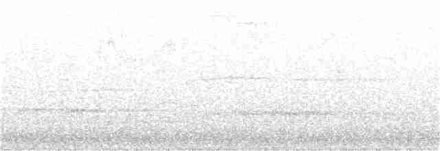 キヅタアメリカムシクイ（coronata） - ML150434281