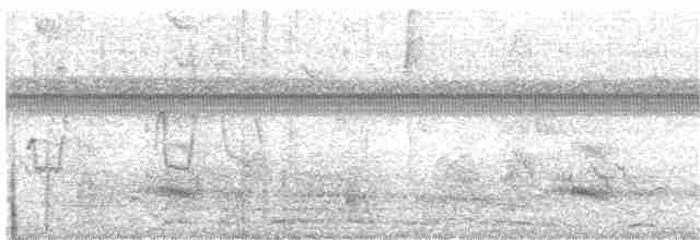 Channel-billed Toucan - ML150460731