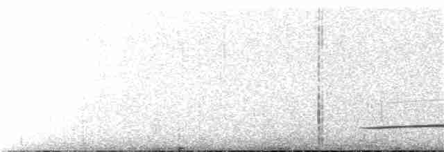 Дроздовая кукушка - ML150469091