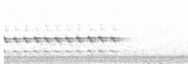 Яструб неоарктичний (підвид chionogaster) - ML150490771