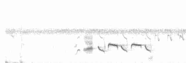 Western Orphean Warbler - ML150516201
