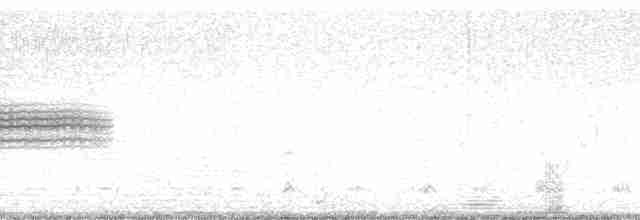 Приморская овсянка-барсучок (mirabilis) - ML15057