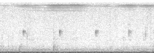 Приморская овсянка-барсучок (mirabilis) - ML15058