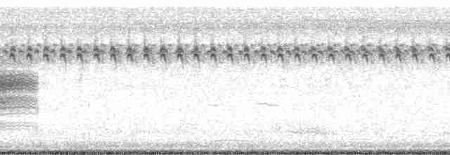 Приморская овсянка-барсучок (nigrescens) - ML15059