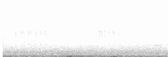Опоясанный зимородок - ML150624431