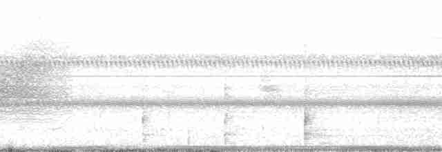 Приморская овсянка-барсучок (nigrescens) - ML15063