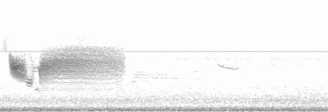 Приморская овсянка-барсучок (nigrescens) - ML15064