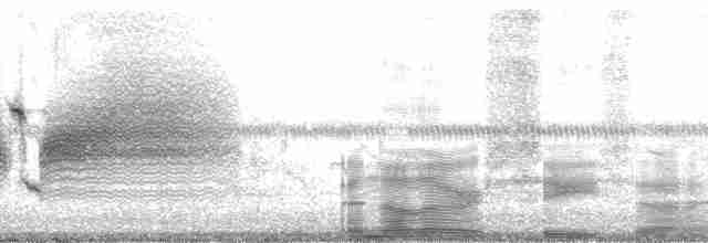 Sahil Serçesi (nigrescens) - ML15066