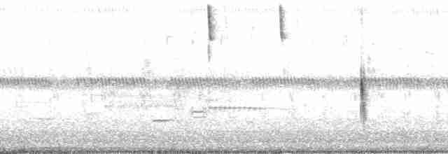 Приморская овсянка-барсучок (nigrescens) - ML15067