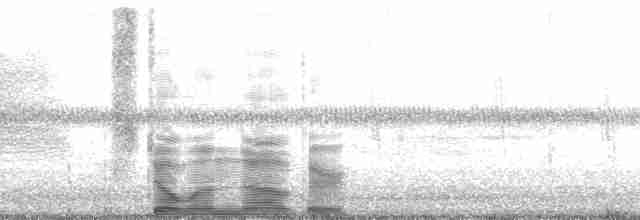 Приморская овсянка-барсучок (nigrescens) - ML15068