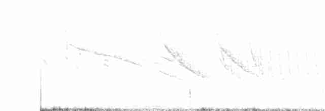 Volkan Junkosu - ML150684841