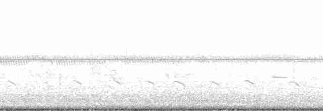 Приморская овсянка-барсучок (nigrescens) - ML15072