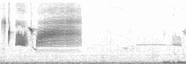 Приморская овсянка-барсучок (nigrescens) - ML15073